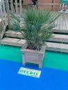 Cat&eacute;gorie: Deckit, fabricant de terrasses pour mobilhomes.